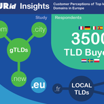 „.eu Insights” tyrimų ataskaita